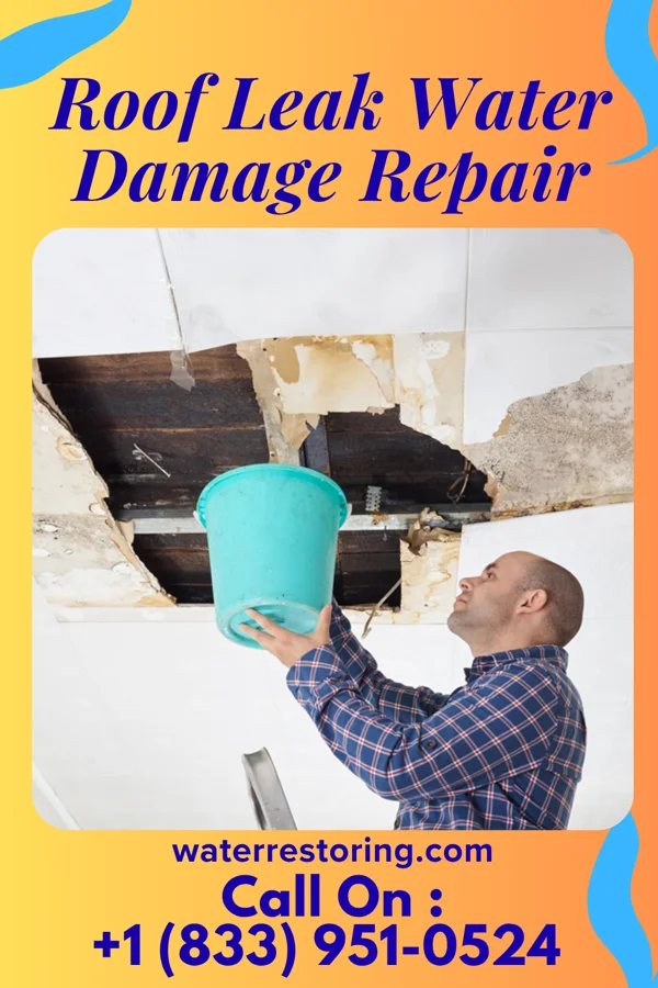 Roof Leak Water Damage Repair in Parker School, MT